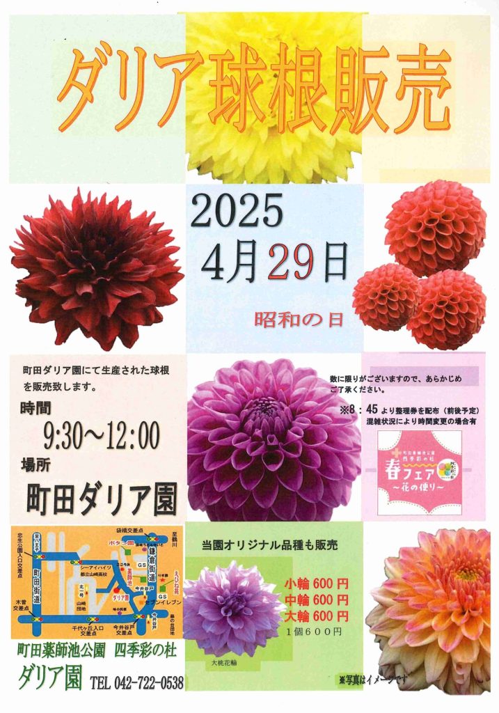ダリア球根版売 – 町田市観光ガイド ダリア球根版売 – 町田市観光ガイド