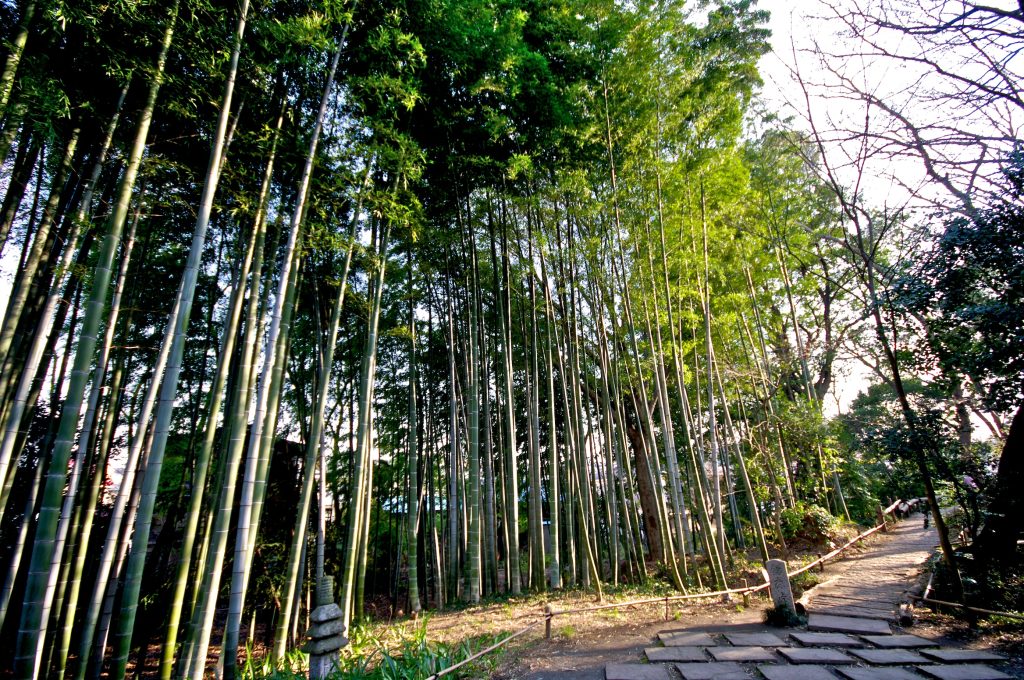 旧白洲邸 武相荘 町田市観光ガイド