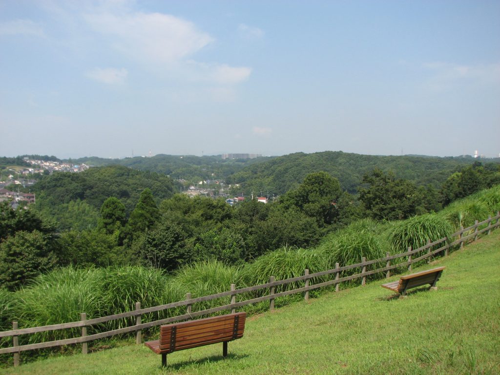 都立小山田緑地 町田市観光ガイド