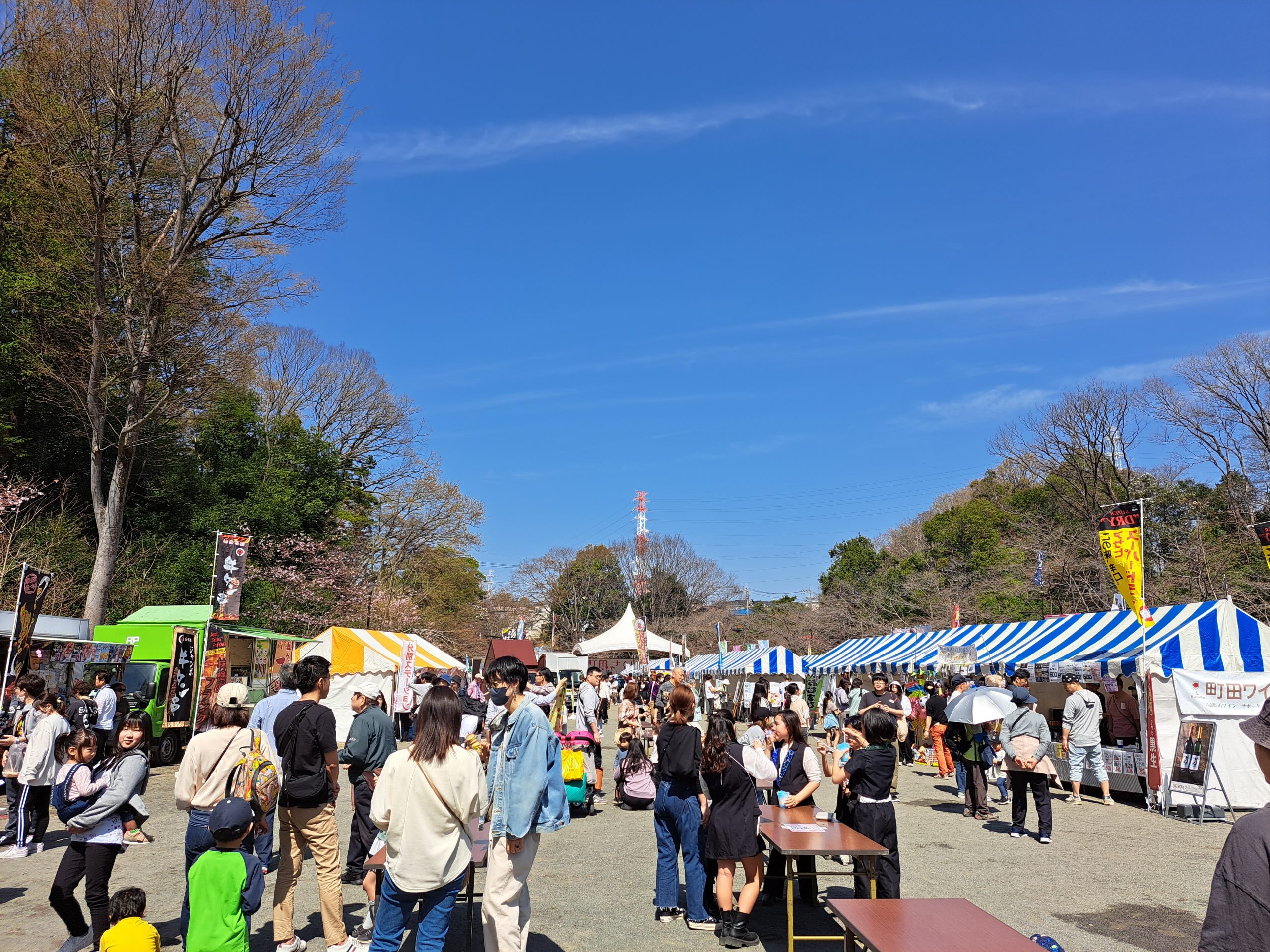 受付終了】2025町田さくらまつり（芹ヶ谷公園会場）出店・出演者募集