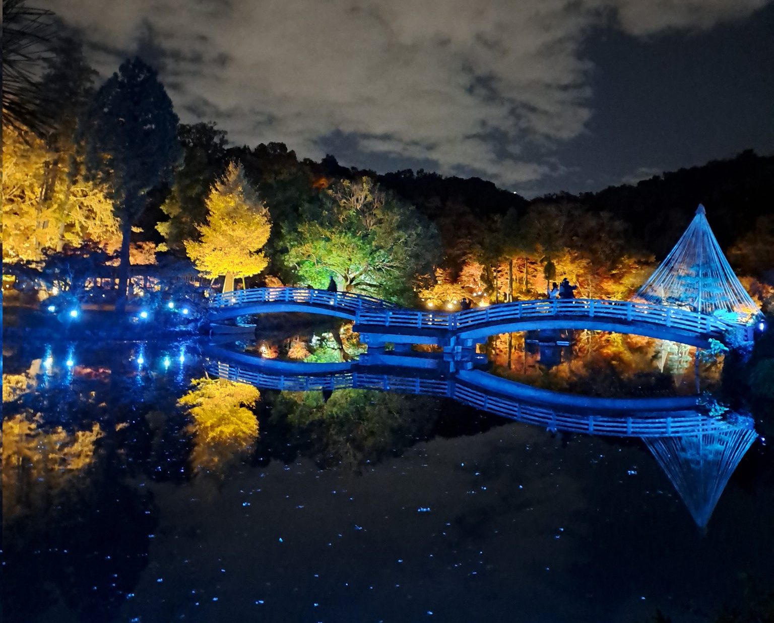 薬師池便り（2025.11.26更新） – 町田市観光ガイド