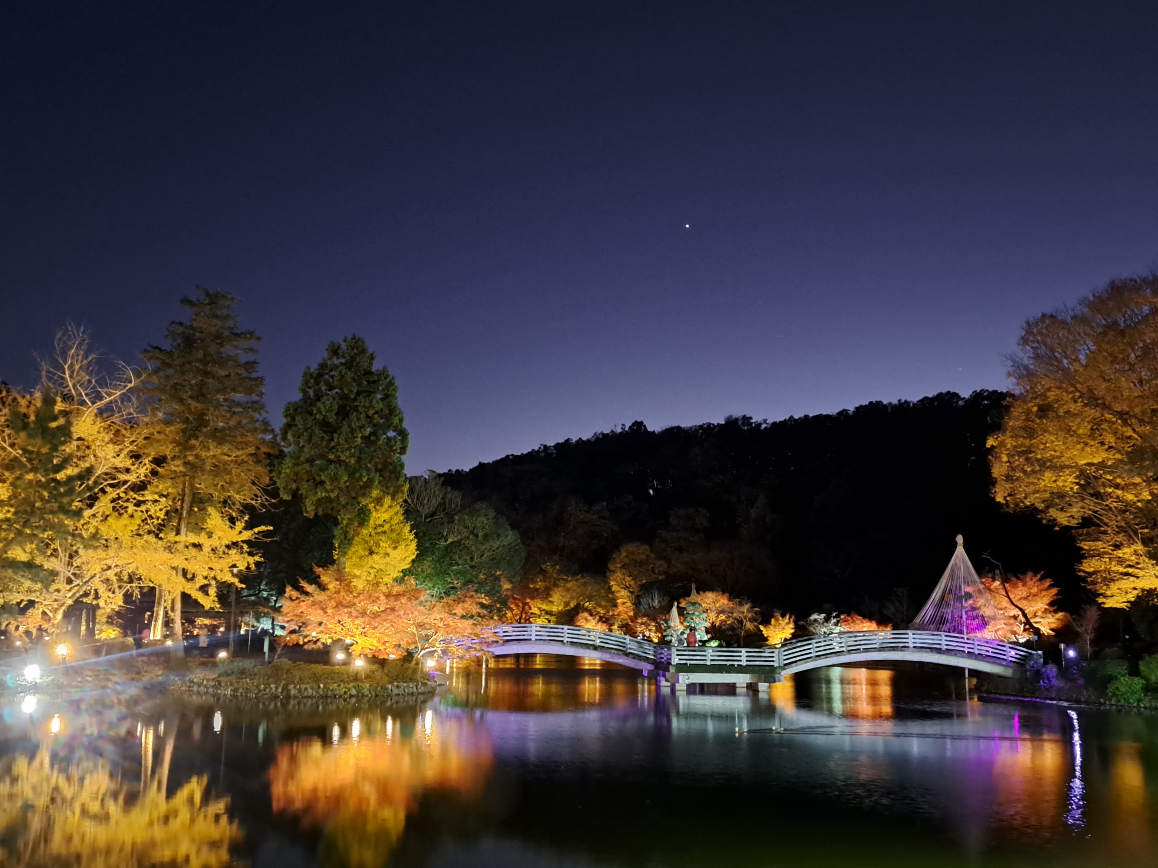 a133fb37d2326bf92aef7bde4f245b